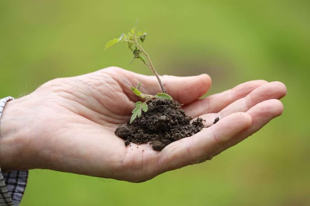 Encourages Growth