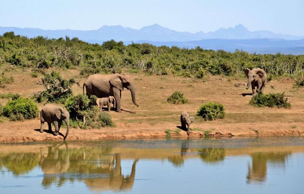 South Africa