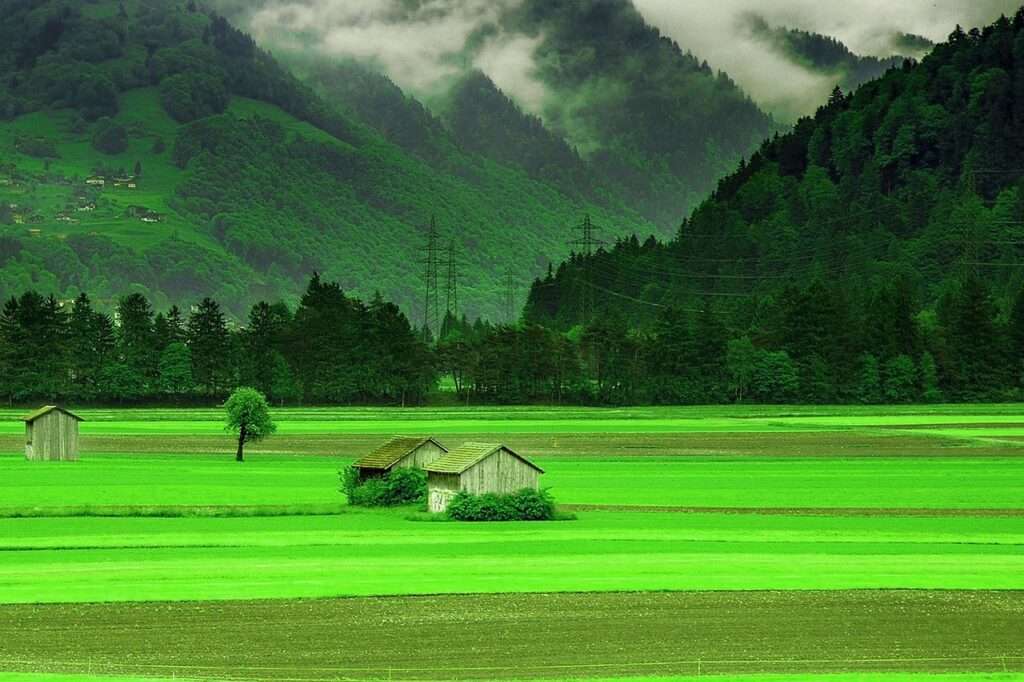 Staying in eco-friendly resorts with green certifications