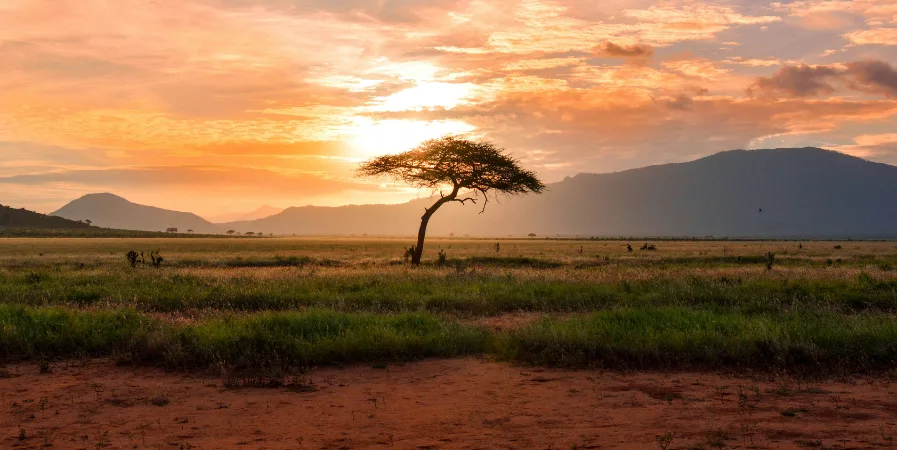 Kenya travel guide