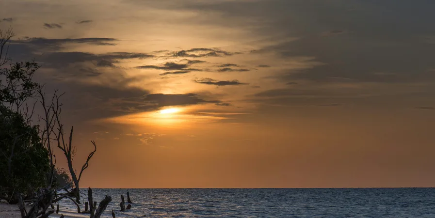 Suriname travel guide