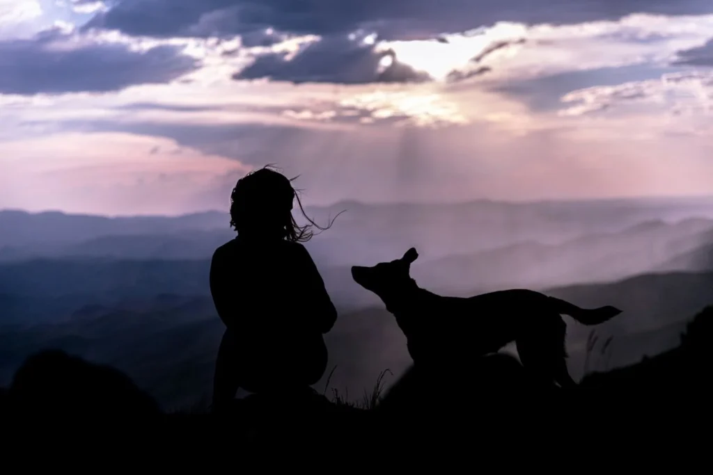 Breaking Down the Pack Myth (What Most Sites Get Wrong)