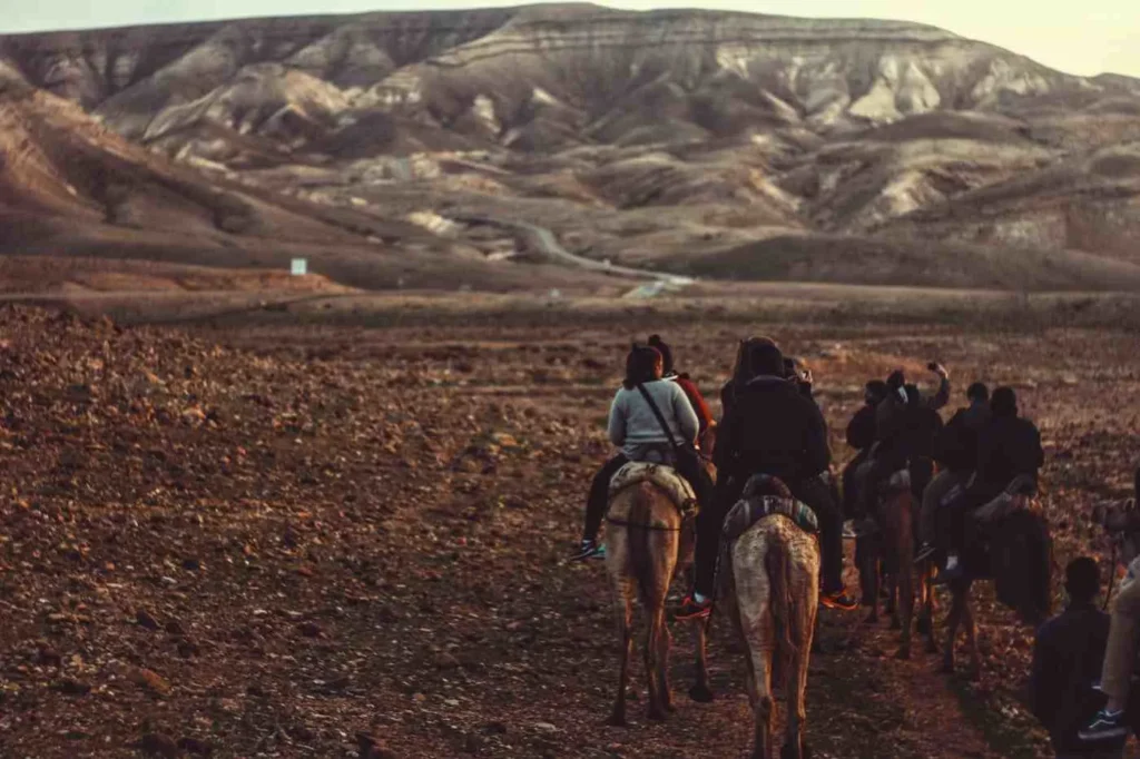 Longest Recorded Horse Journeys in History  