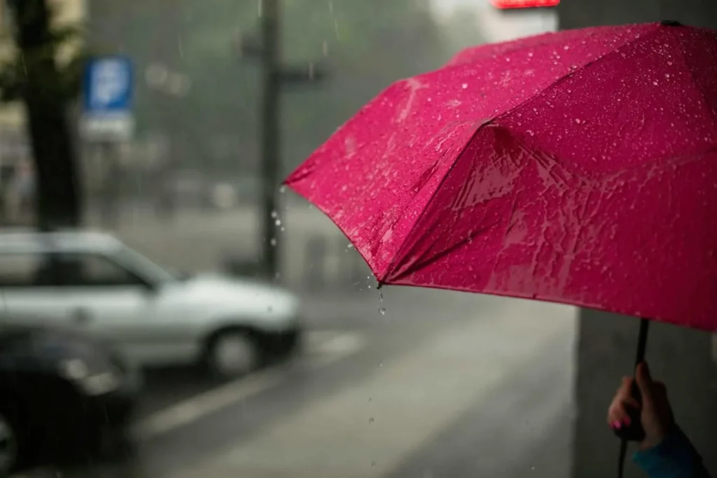 Rainy Season Survival Guide