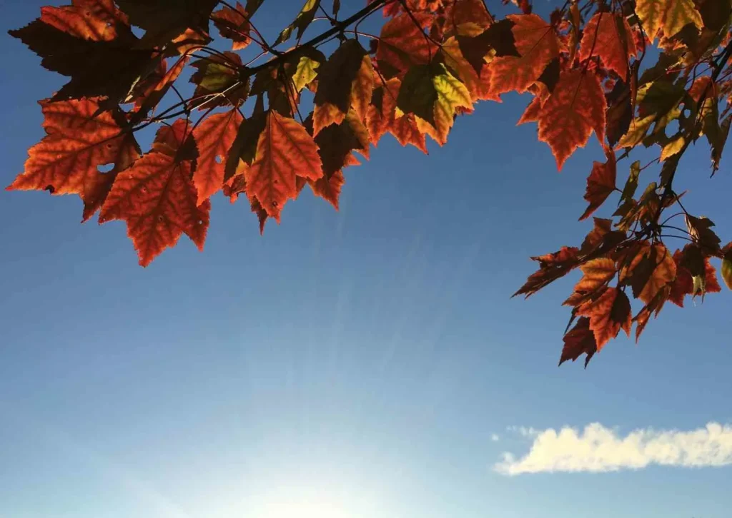 Warmest Places in November 