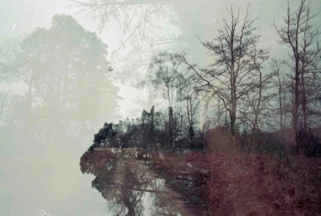 Different Areas I Explored