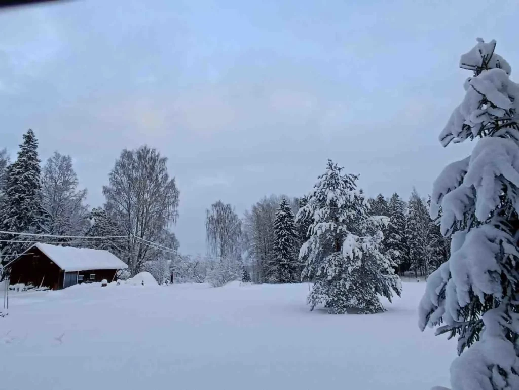 Finland's Strong Seasons