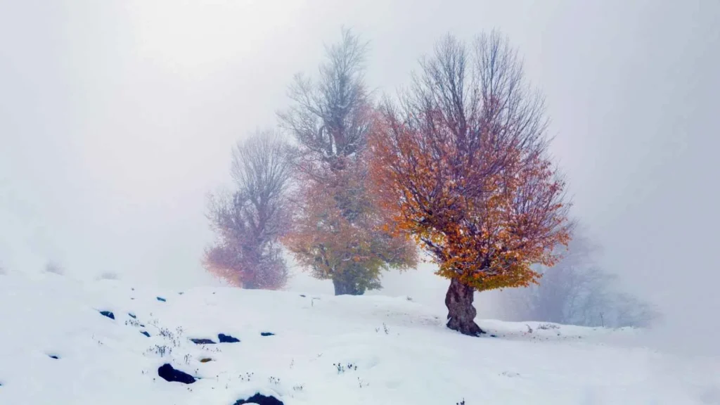 Forget Everything You Know About Seasons