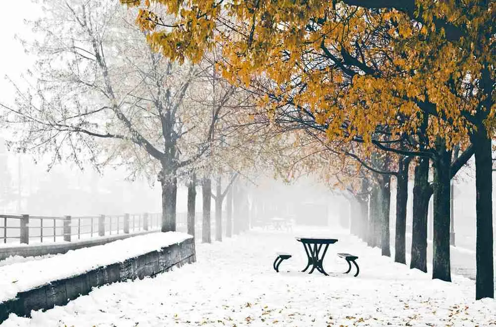 Forget Everything You Know About Seasons