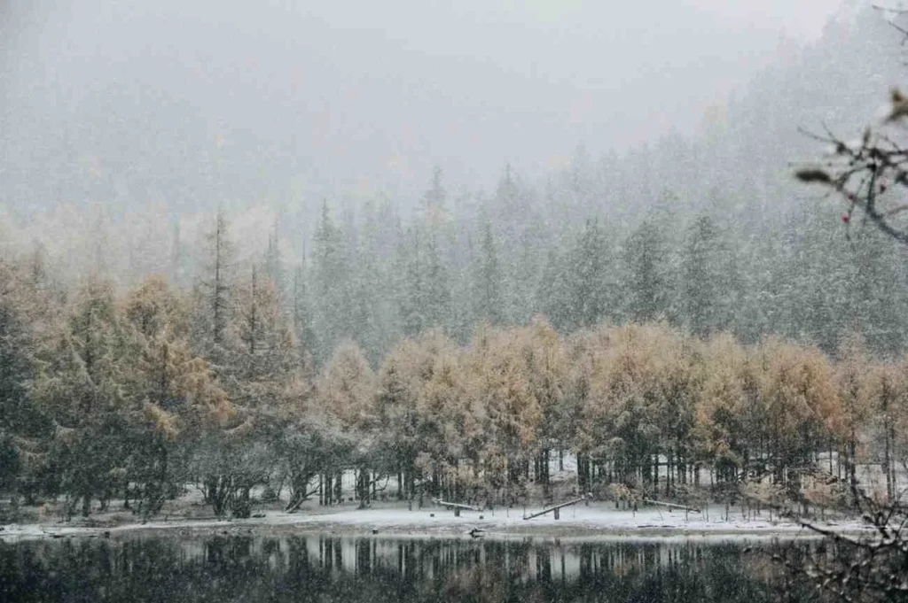 Forget What You Know About Seasons