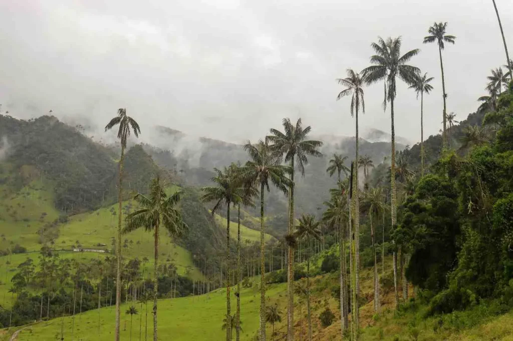 Seasons in Comoros Keep It Simple, Yeah
