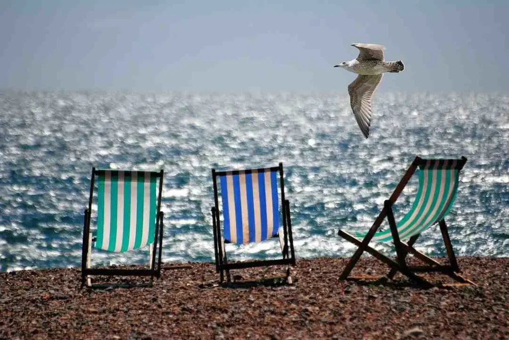Summer (June-August) The Beach Revelation
