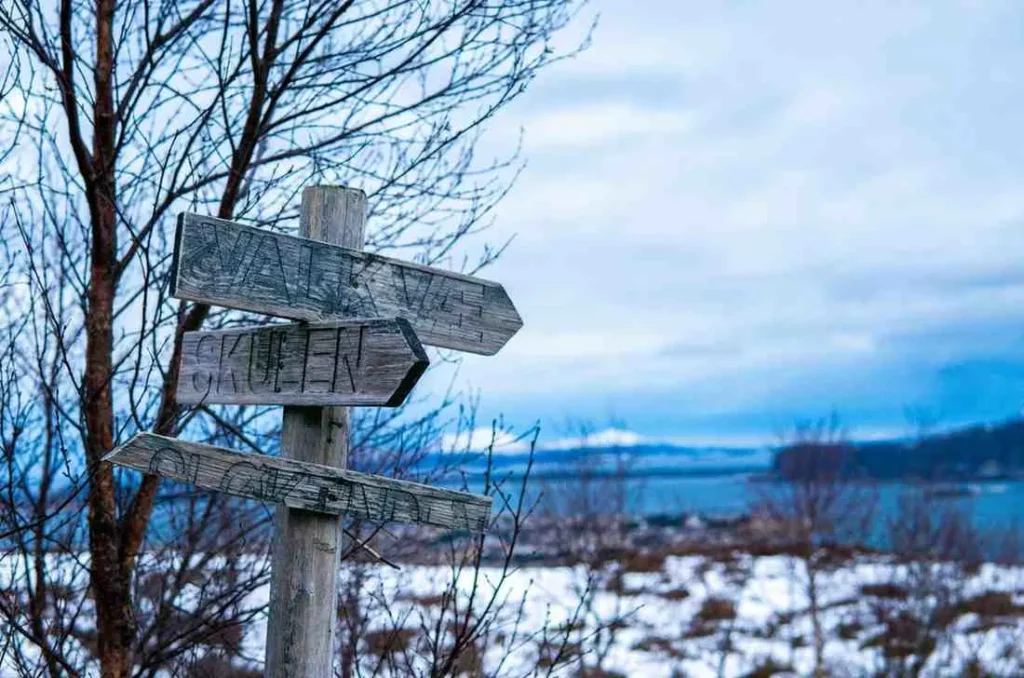 The Final Verdict When Should You Go