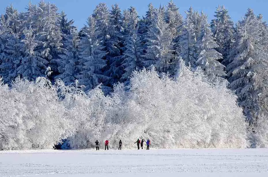 The Winter Season December to April - When Everything Shines