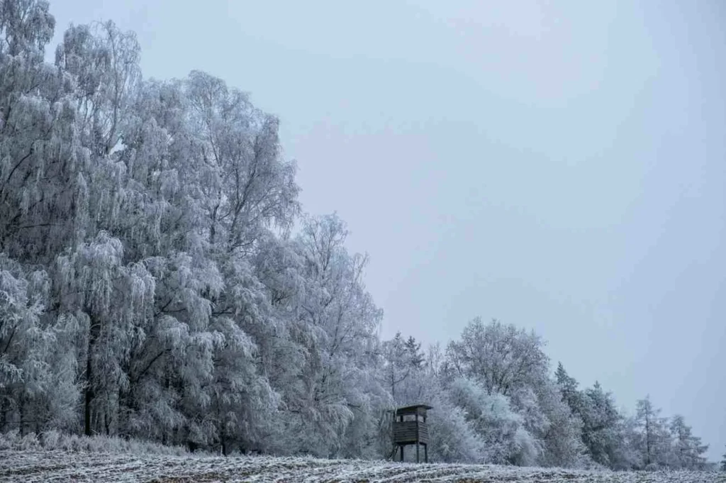 What Estonia's Seasons Are Really Like
