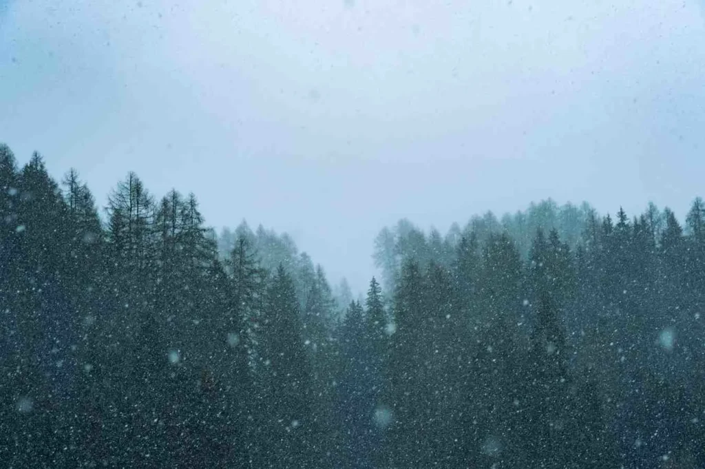 What I Discovered About the Weather