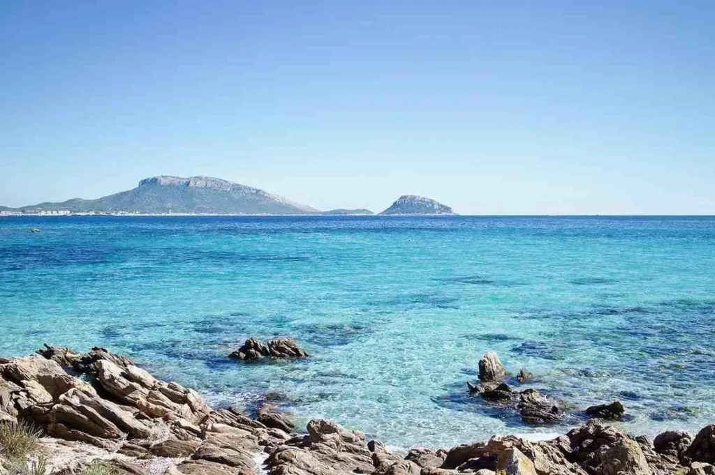 Why Timing Matters in Paradise