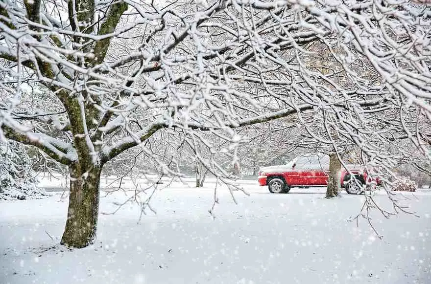 Winter Where Cold Becomes Revelation