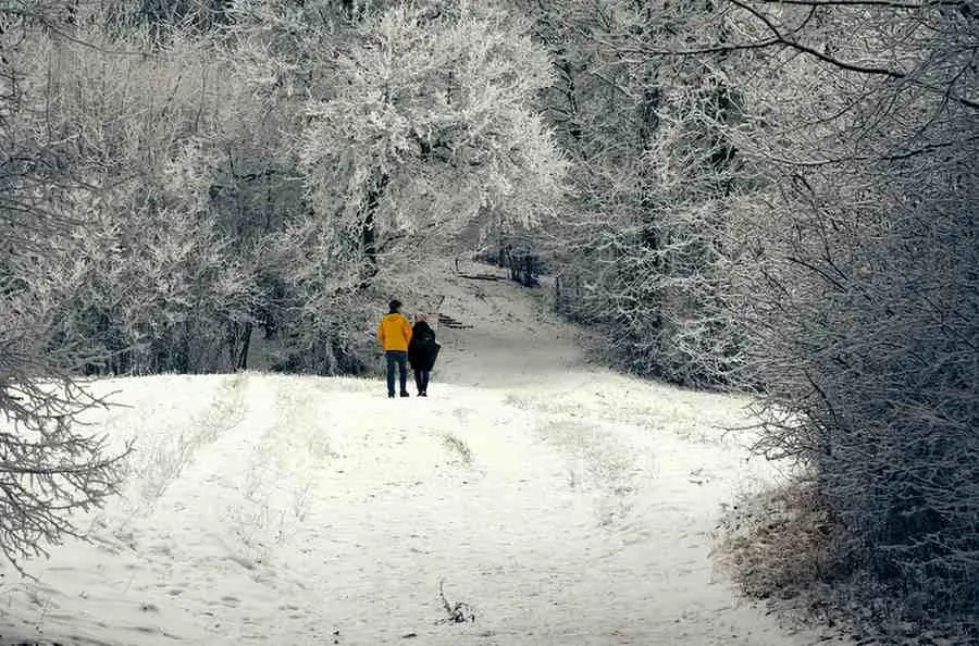 Winter's Embrace (November - February)
