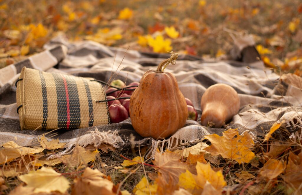 Autumn The Secret Winner (September-November)
