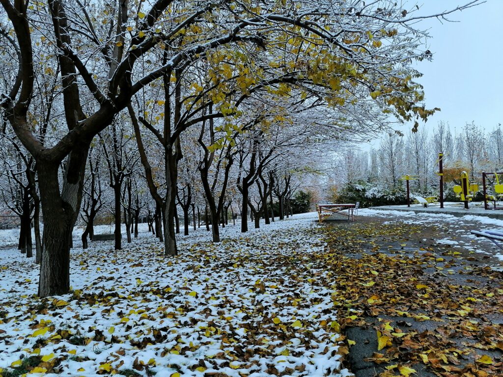 Different Areas, Different Weather