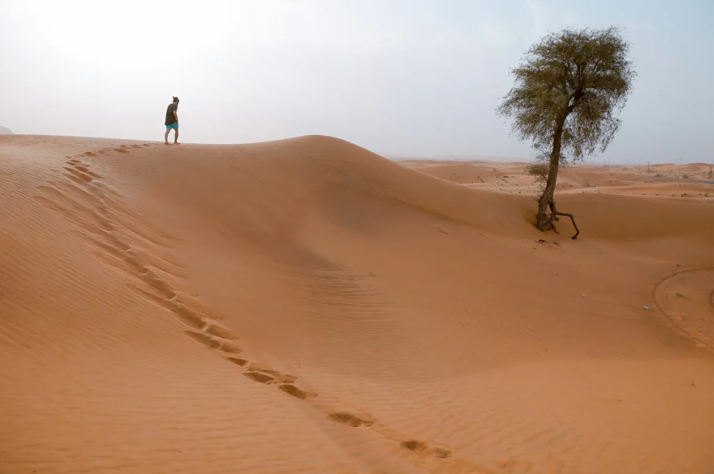 Dry Season (November - March) When Everyone Tells You to Visit
