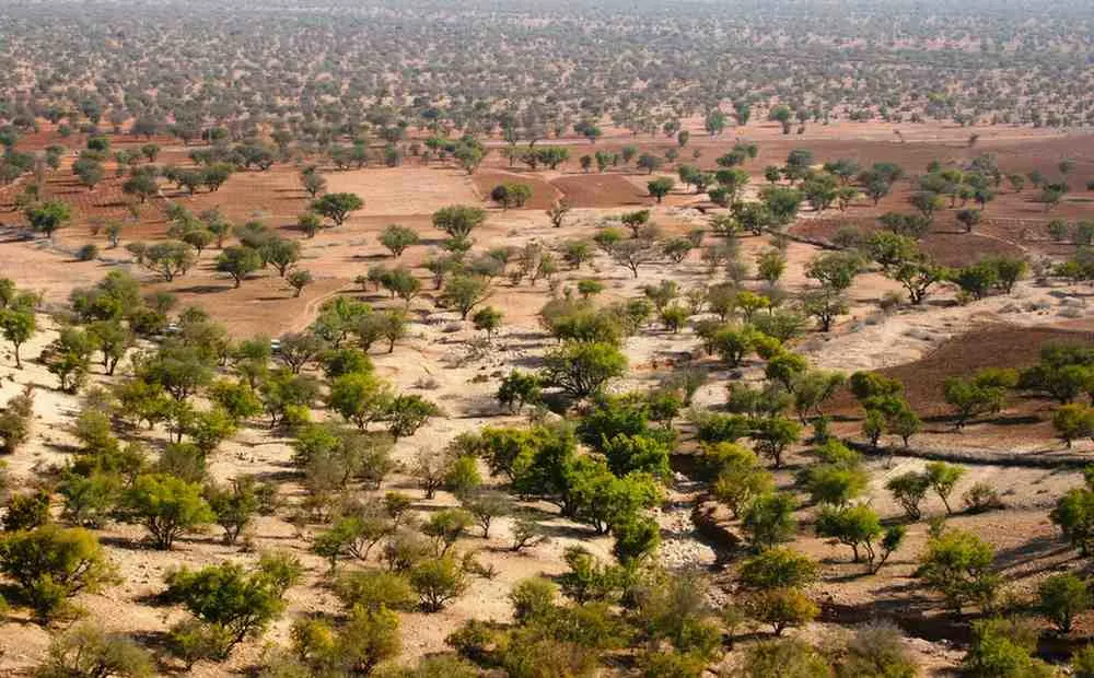 Rainy Season Mali's Green Transformation (June - October)