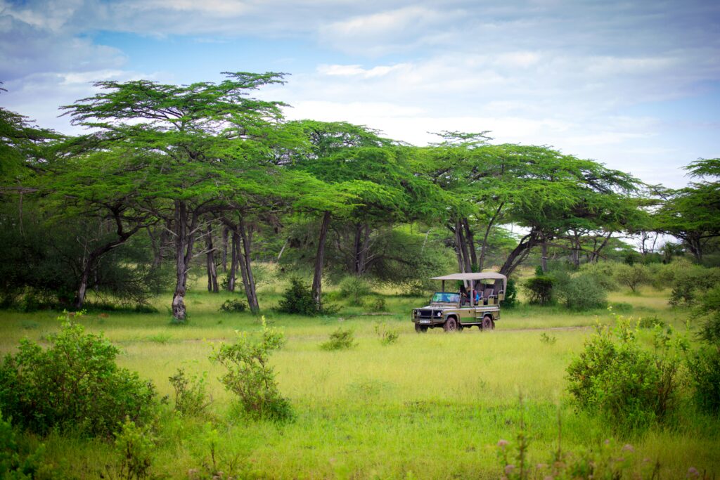 So When Should You Go? Best Time To Visit Kenya