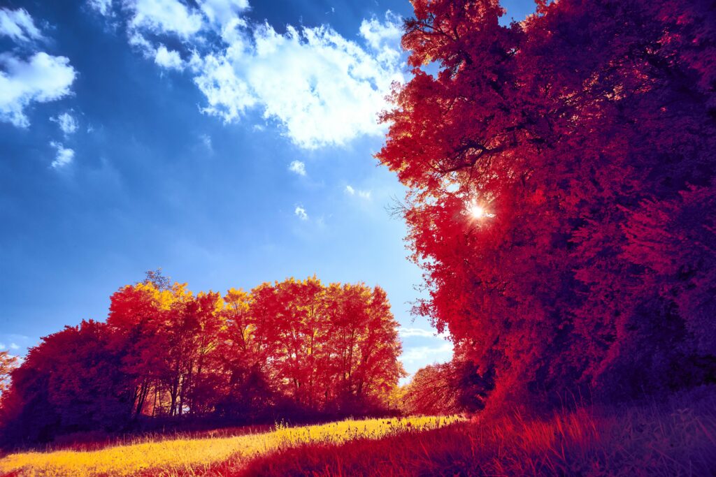 Spring (September - October) The Great Awakening