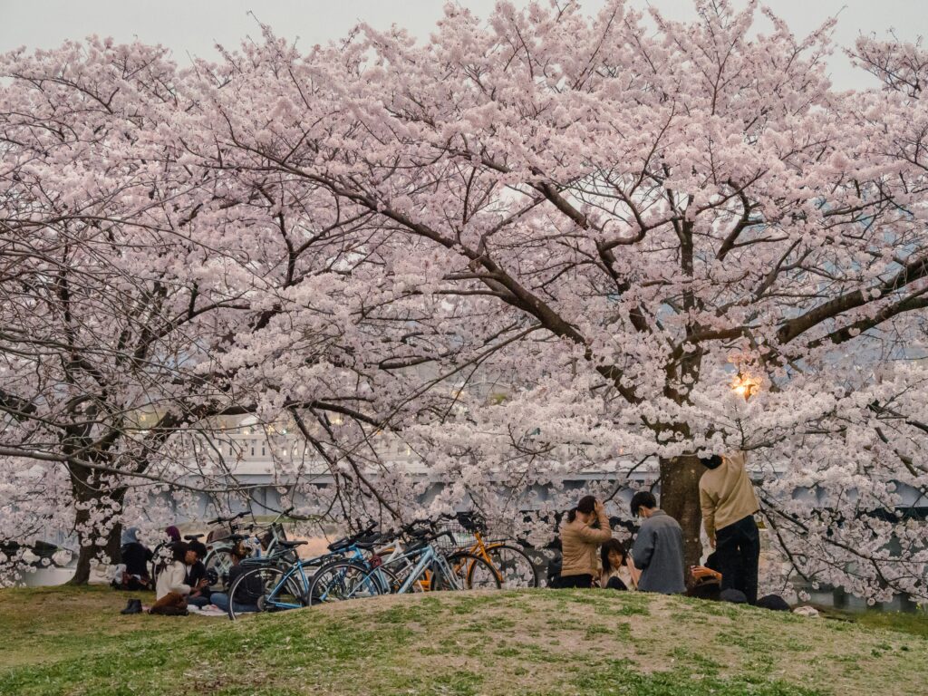 Spring's Hidden Crowds and Quiet Moments