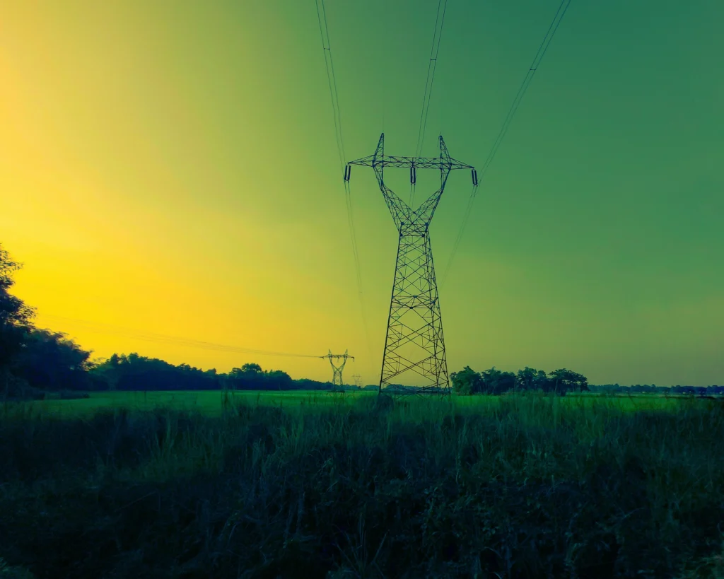 Summer's Electric Pulse