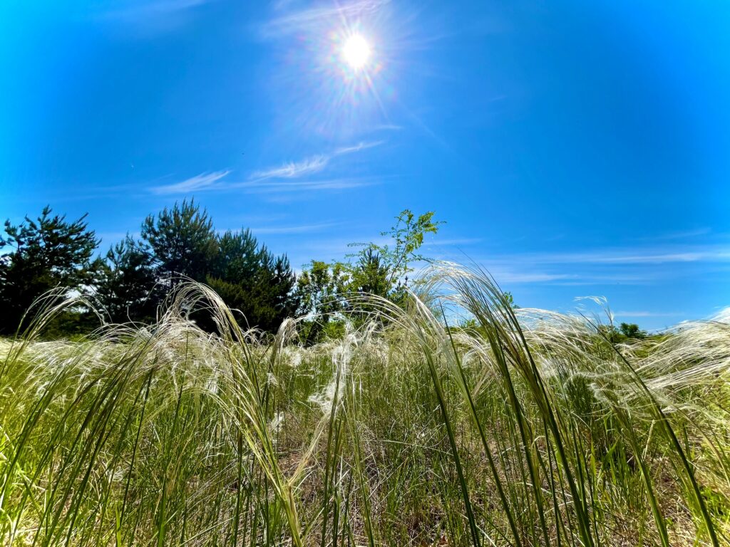 Summer's High Season Truth July and August