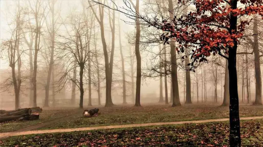 That First January Shock