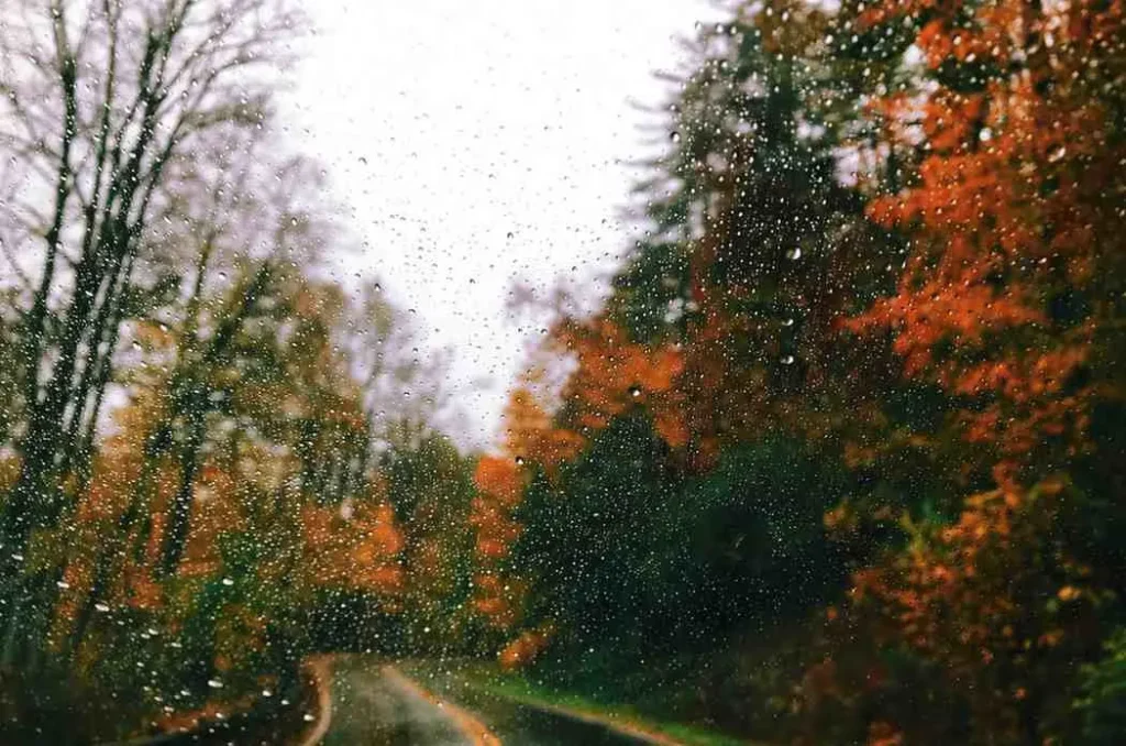 That First Rainy November Day