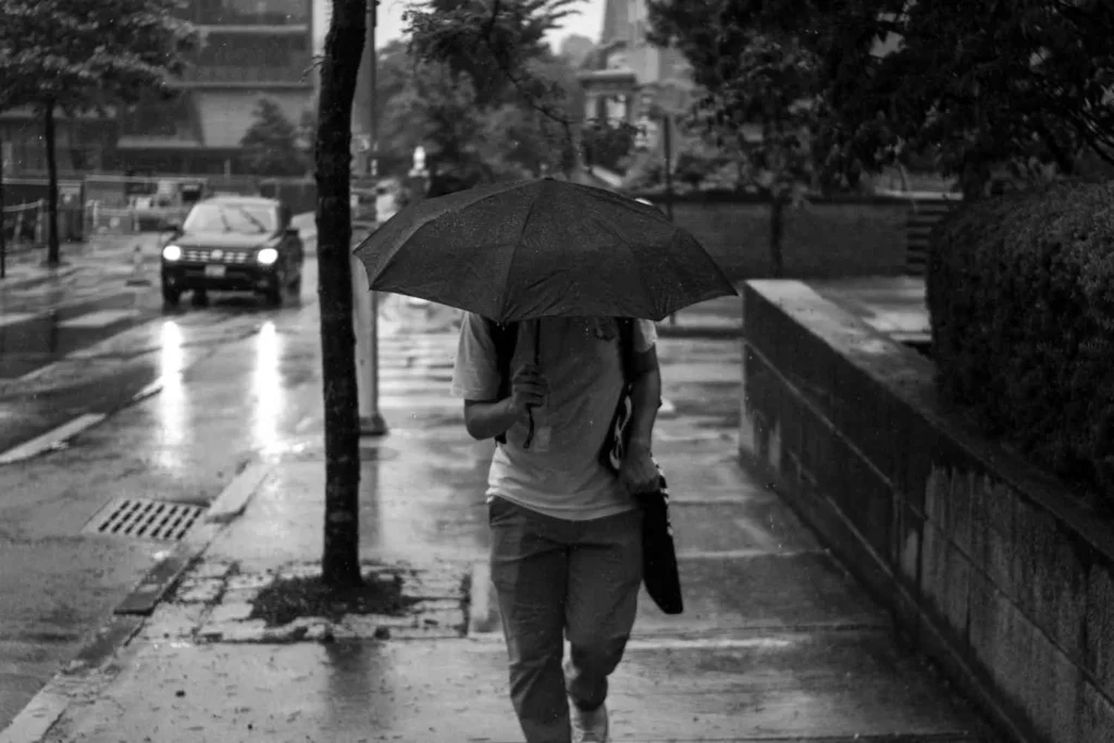 That First Rainy Tuesday Revelation