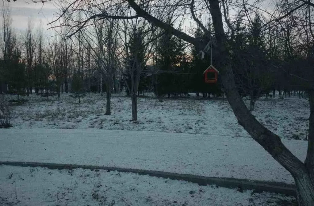 That First Winter Morning That Changed Everything