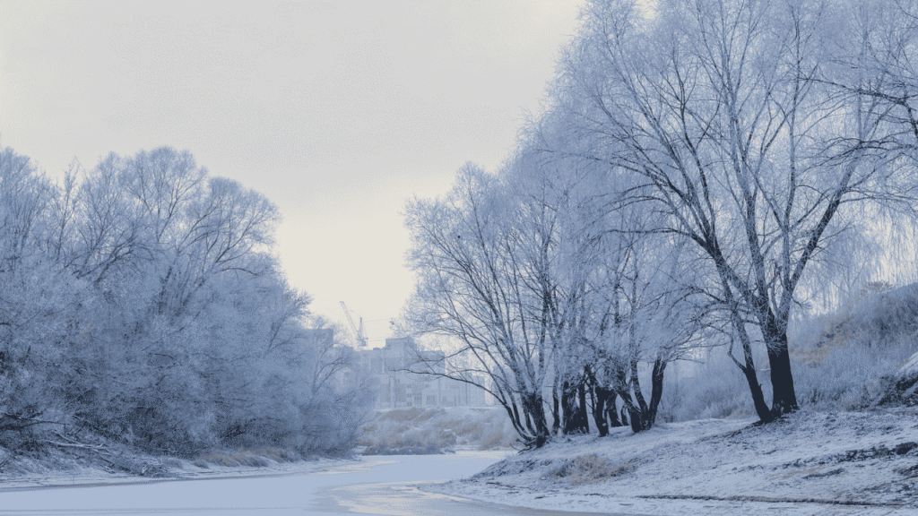 The Dry Season Dream (December to April)