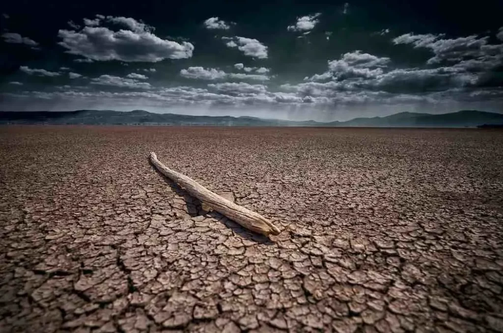 The Dry Season Dream Everyone Talks About