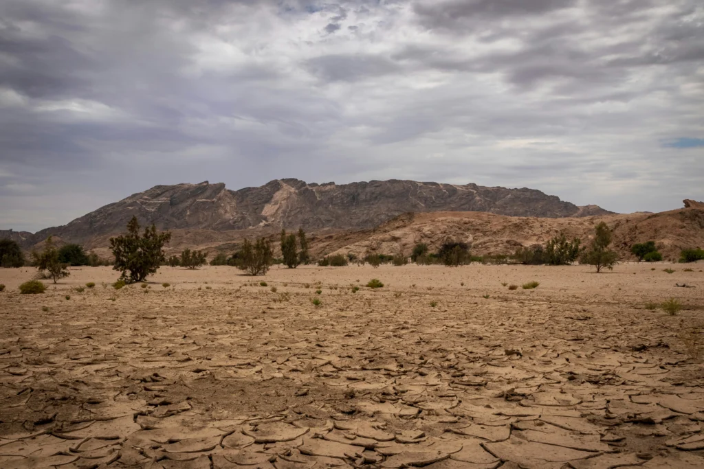 The Dry Season Experience (November-April)