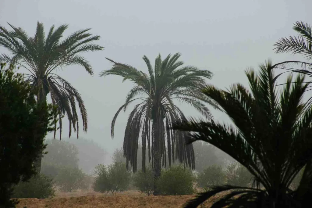 The Rainy Season Niger's Secret Beauty (June - September)