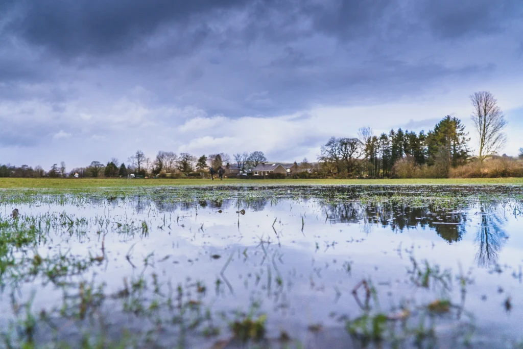 The Wet Season Surprises (November - February)