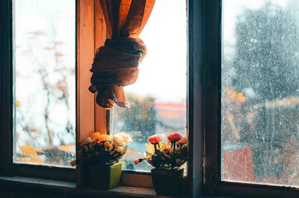 Throw Your Idea of Seasons Out the Window