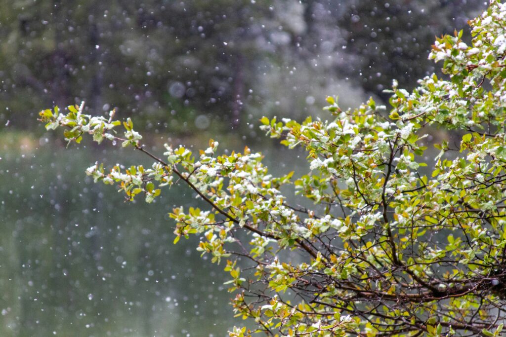 Understanding the Seasons More Than Just Weather