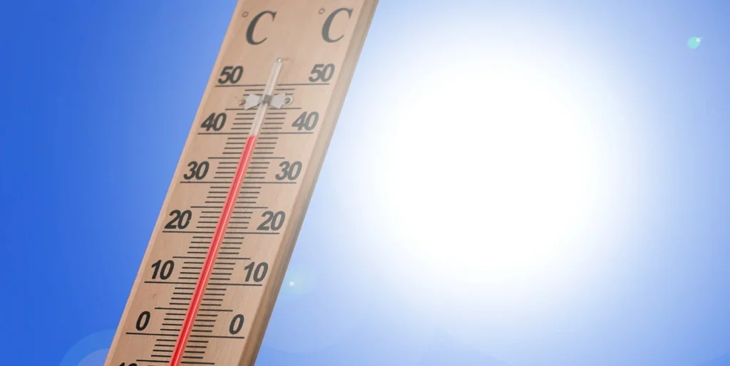 Why Temperature Barely Matters Here