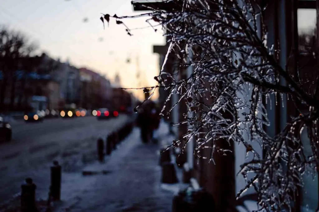 Winter Cold But Beautiful (December-February)
