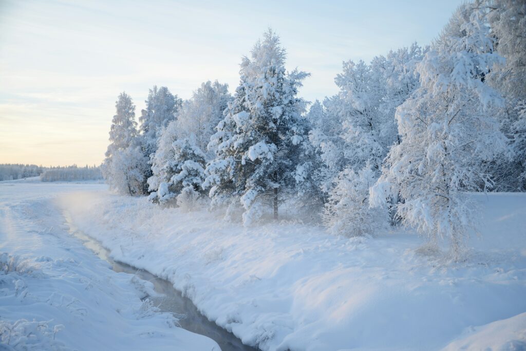 Winter (June - August) The Snow Kingdom