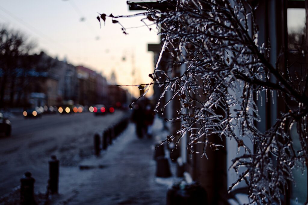 Winter (November to March) Cold But Beautiful