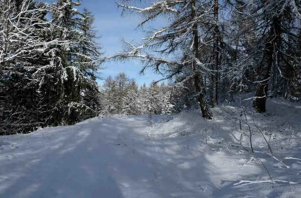 Winter Snow World (November-March)