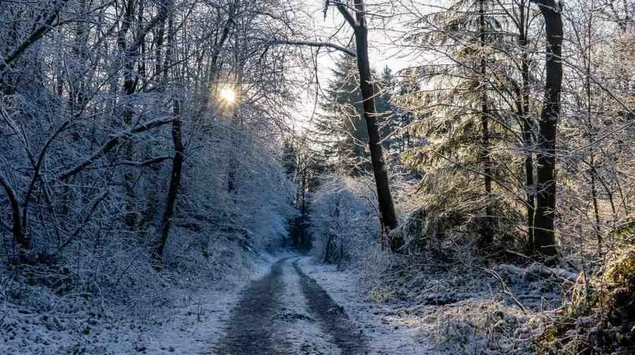 Winter The Unexpected Season of Magic