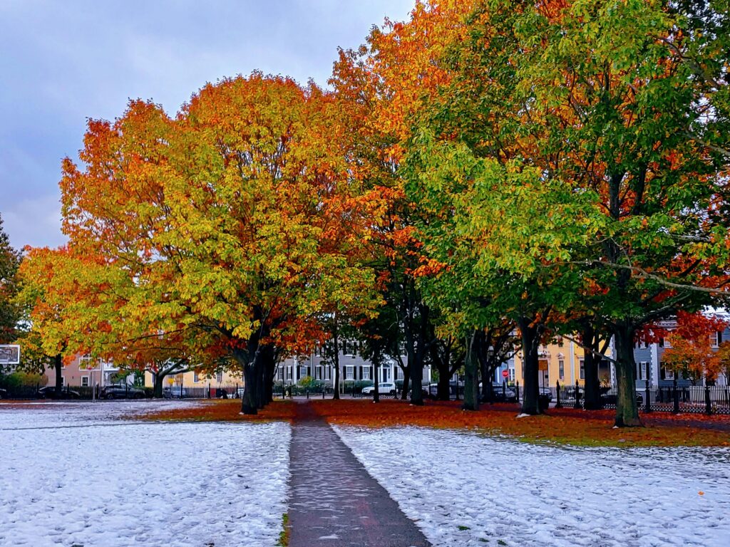 Winter Was Magical November to March